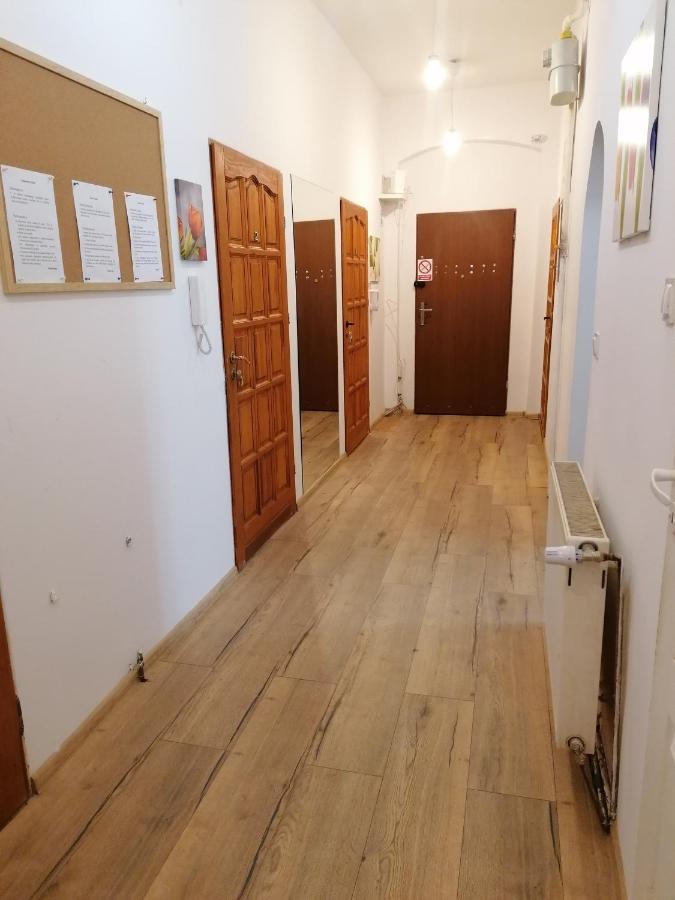 Apartament Tulip - Pokój 3 Ze Wspólną łazienką I Kuchnią Szczecin